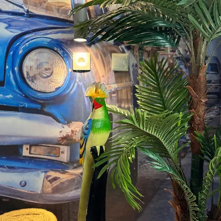 Casa Cubana *